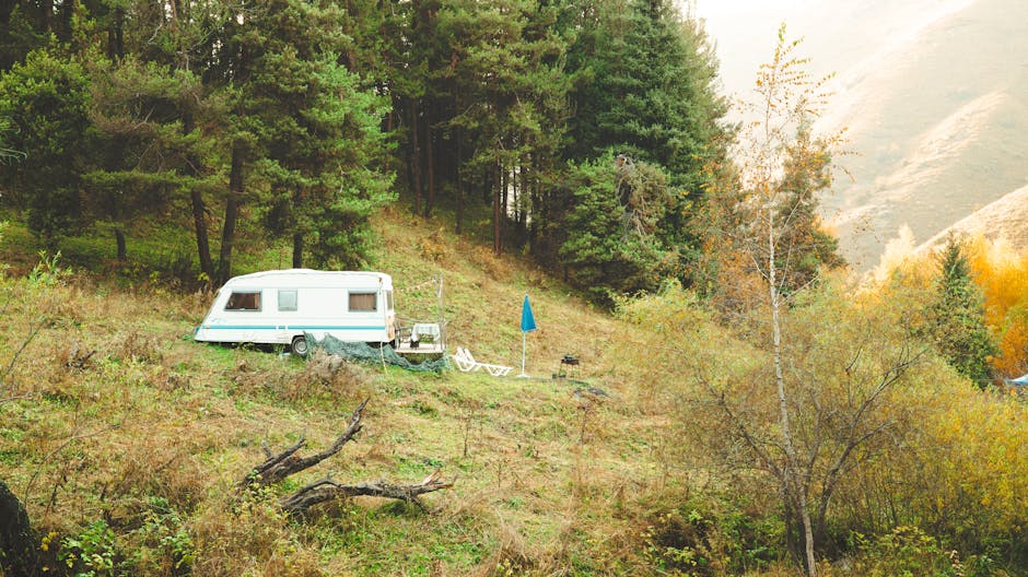 dethleffs wohnwagen - A peaceful forest camping scene with a caravan amidst autumn foliage in the mo